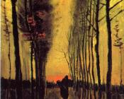 文森特 威廉 梵高 : 日落时的白杨林阴道